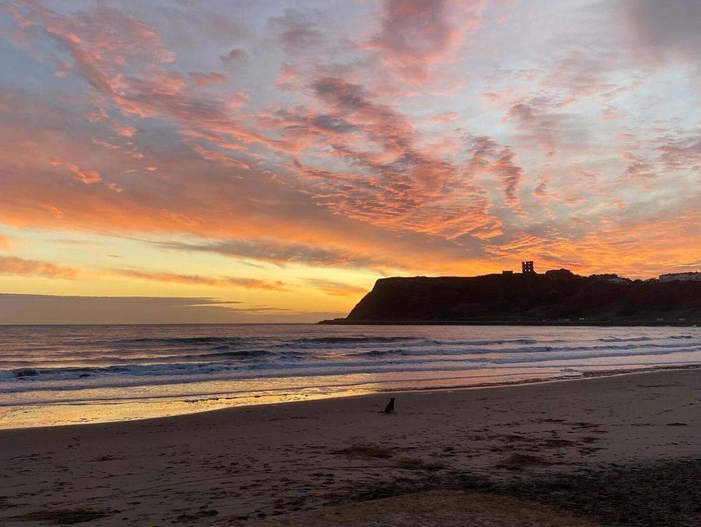 Seascape - Fantastic Location With Sea Views! Scarborough Exterior photo